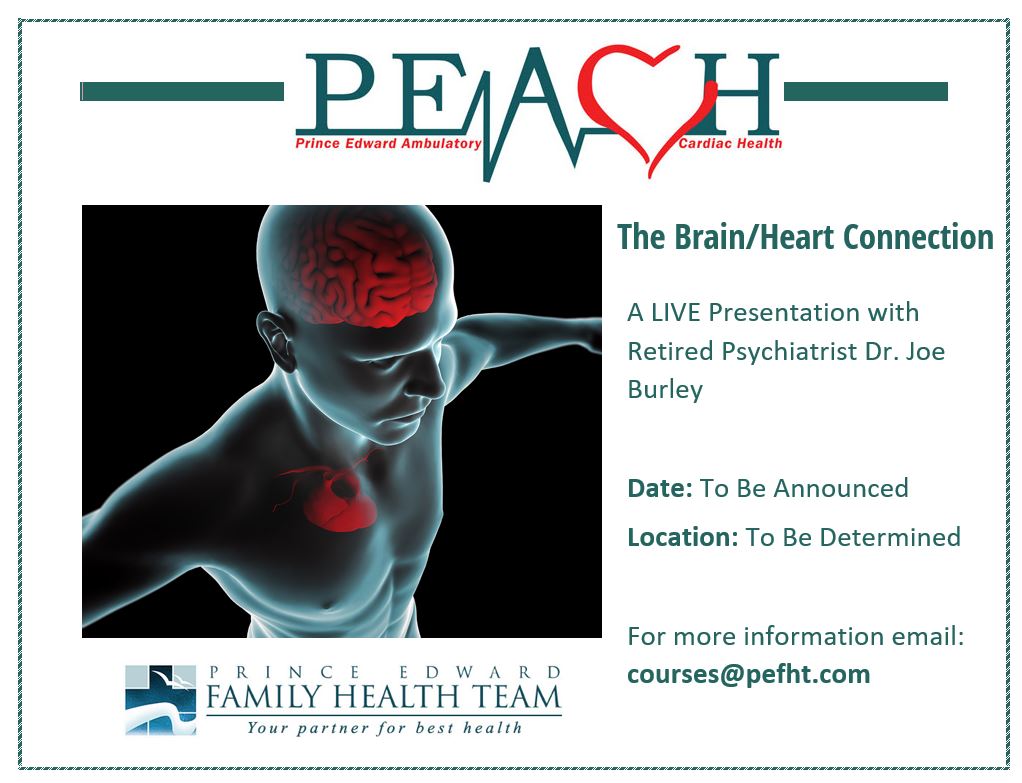 brainheart